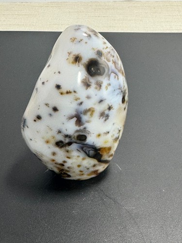 Dendritic agate polished - dendritic,
