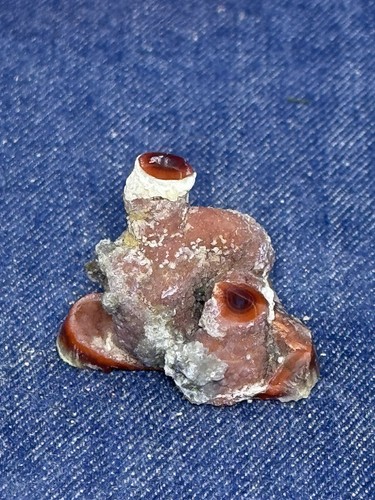 Aqua nueva agate - agate, display