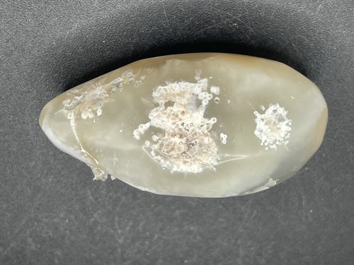 Flower agate egg - flower,