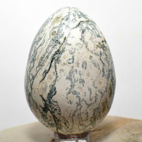 55mm white green agate - green, egg